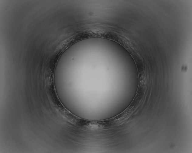 X0000090450464200708031222