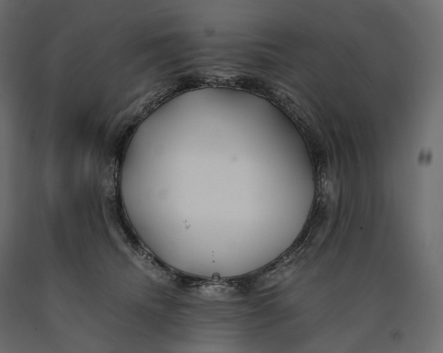 X0000090450468200708031222