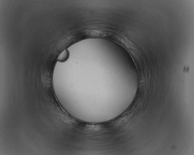 X0000090450469200708031222