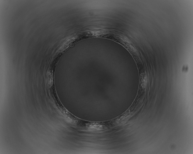 X0000090450471200708031222