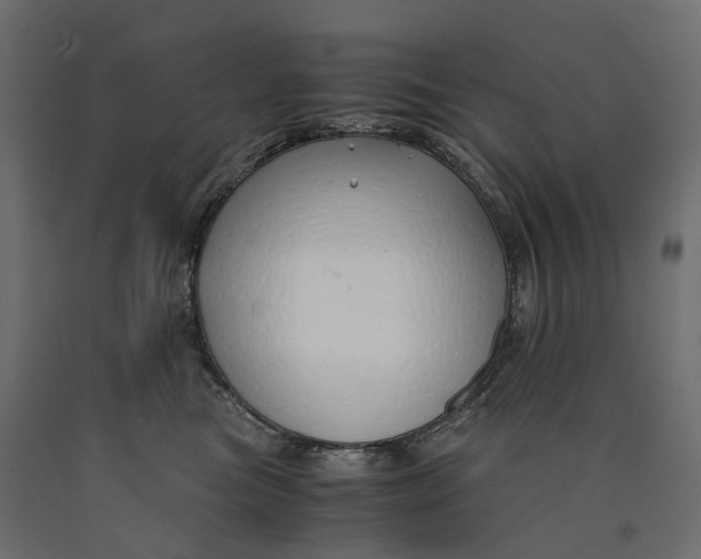 X0000090450473200708031222