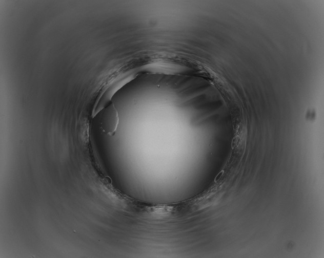 X0000090450474200708031222