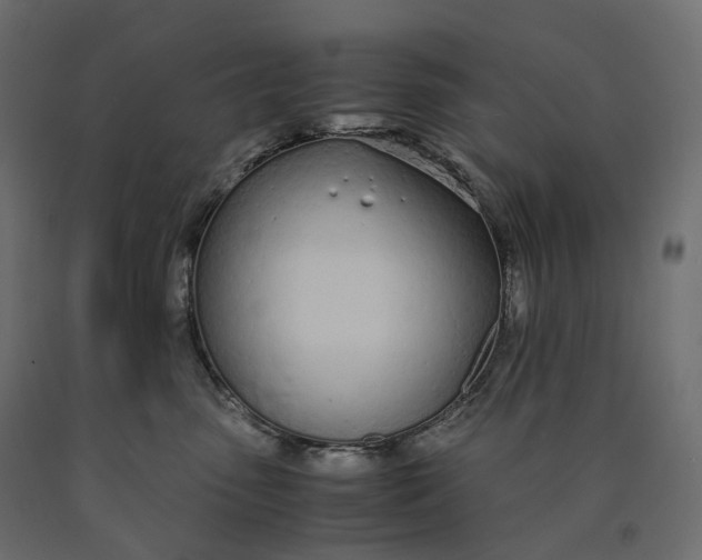 X0000090450475200708031222