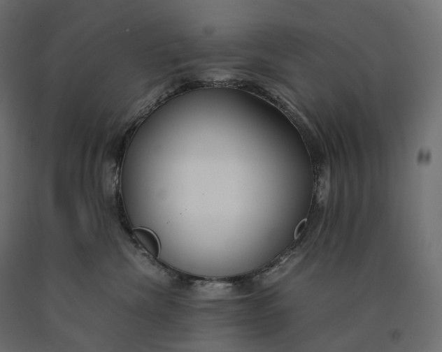 X0000090450476200708031222