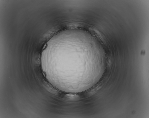 X0000090450477200708031222