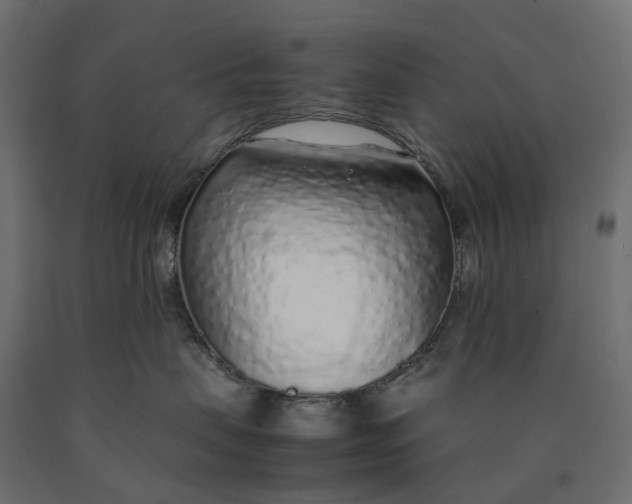 X0000090450479200708031222