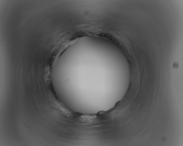 X0000090450480200708031222