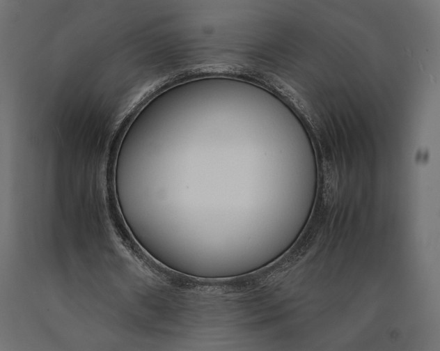 X0000090450482200708031221