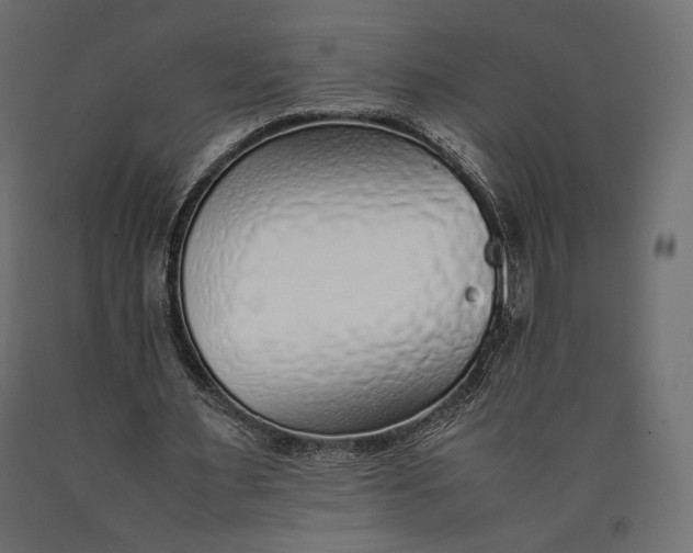 X0000090450483200708031221