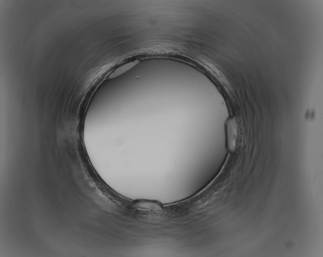 X0000090450485200708031221