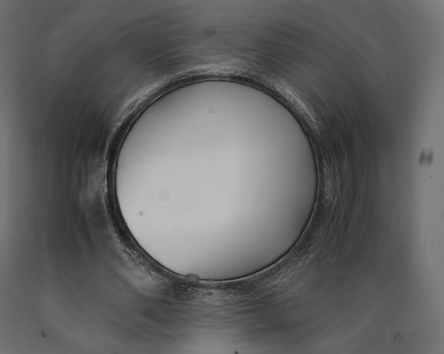 X0000090450486200708031221