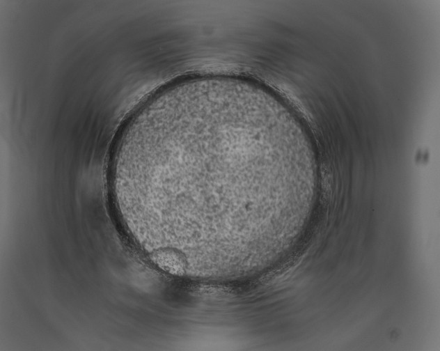 X0000090450487200708031221