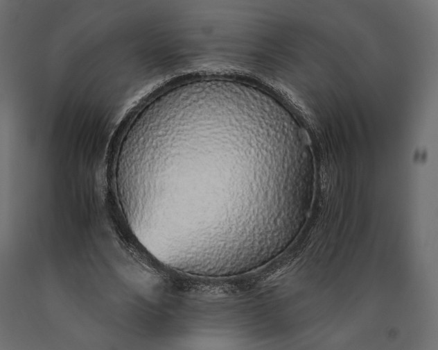 X0000090450488200708031221