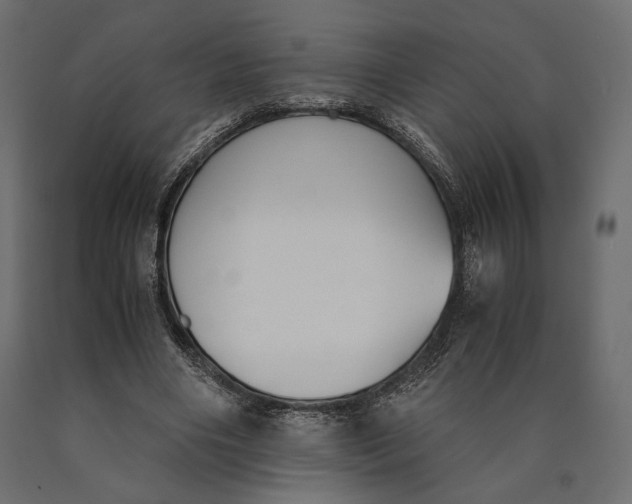 X0000090450490200708031221