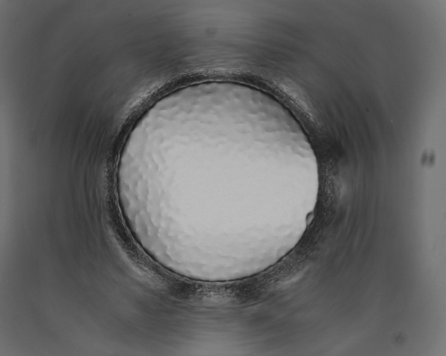 X0000090450491200708031221