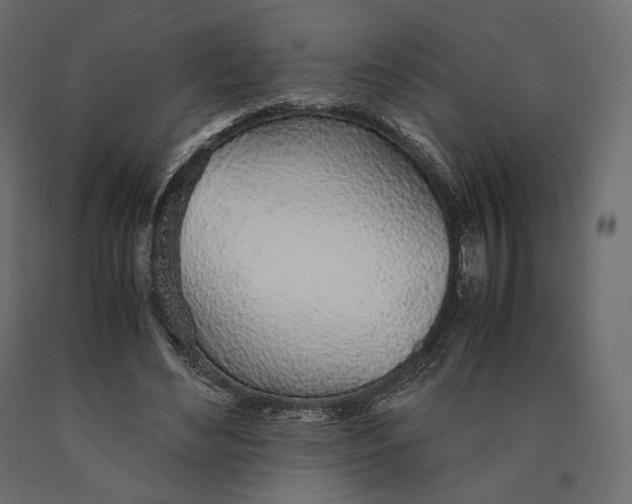 X0000090450492200708031221