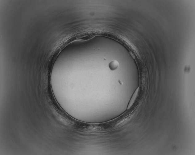 X0000090450493200708031221