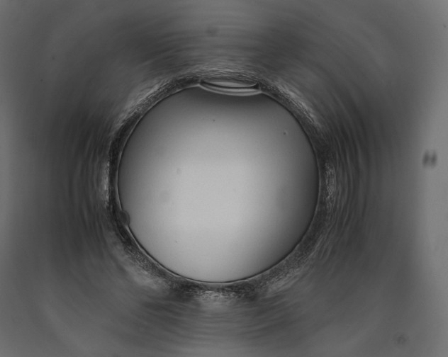 X0000090450494200708031221