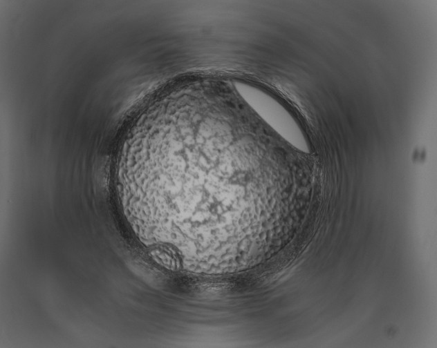 X0000090450495200708031221