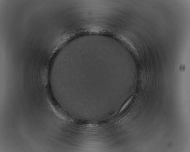 X0000090450496200708031221