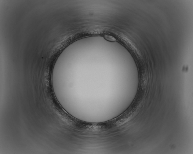 X0000090450497200708031221