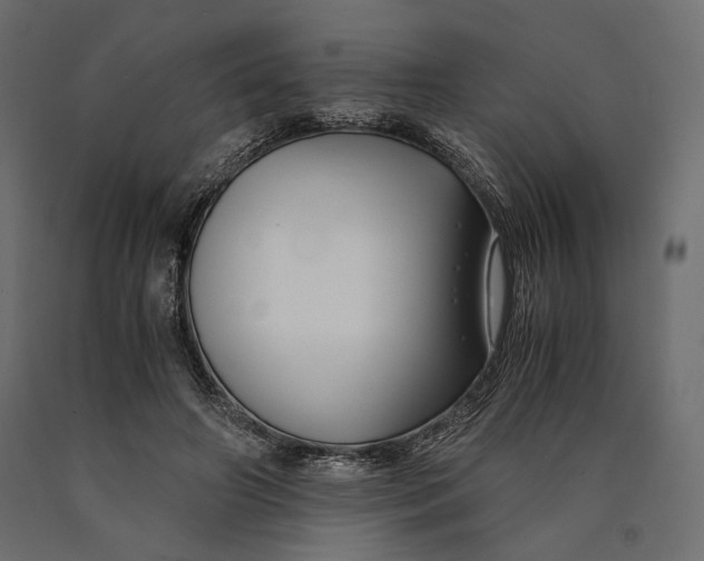 X0000090450498200708031221