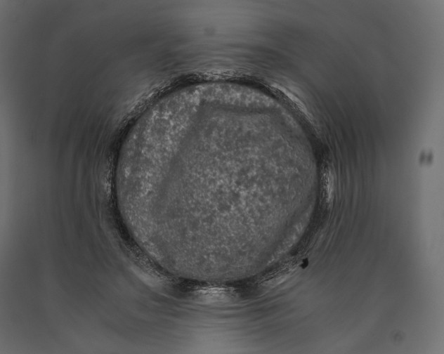 X0000090450499200708031221