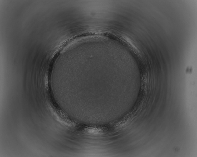 X0000090450500200708031221