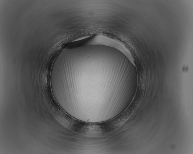 X0000090450501200708031221