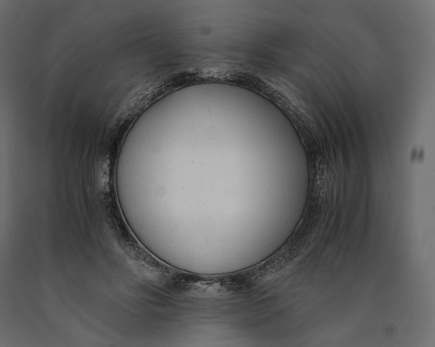 X0000090450502200708031221