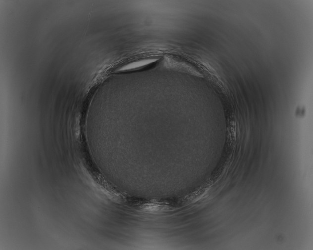 X0000090450504200708031221