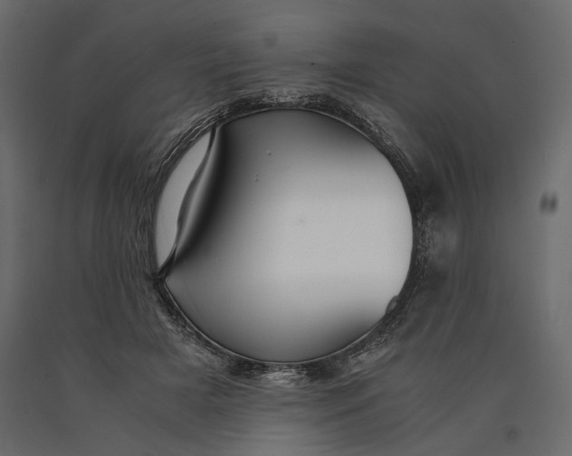 X0000090450505200708031221