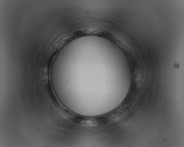 X0000090450506200708031221