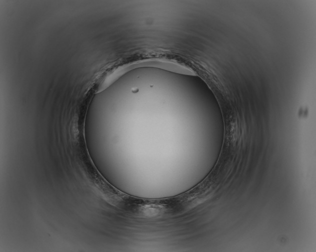 X0000090450508200708031221