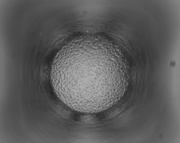 X0000090450511200708031221