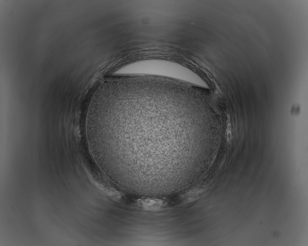 X0000090450512200708031221