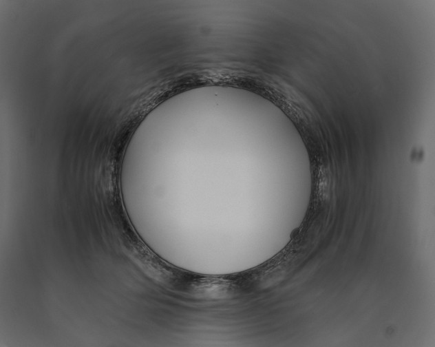 X0000090450514200708031221