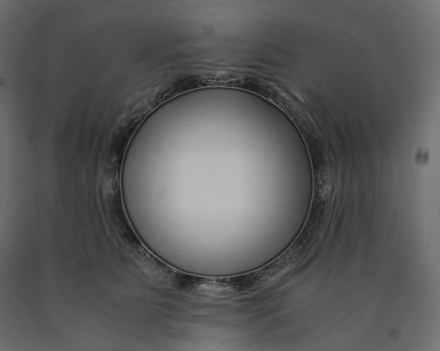 X0000090450515200708031221