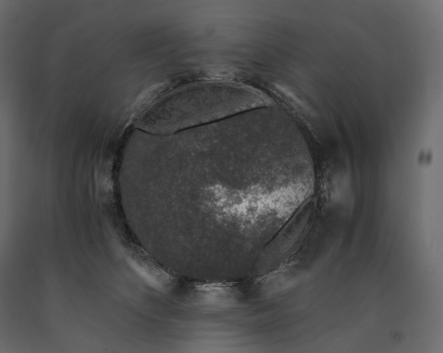 X0000090450516200708031221