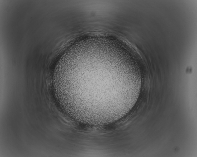 X0000090450517200708031221