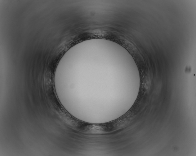 X0000090450518200708031221