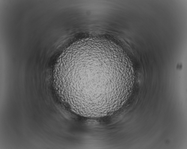 X0000090450519200708031221