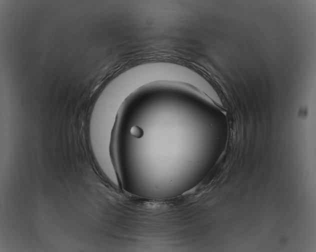 X0000090450520200708031221