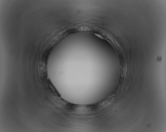 X0000090450521200708031221