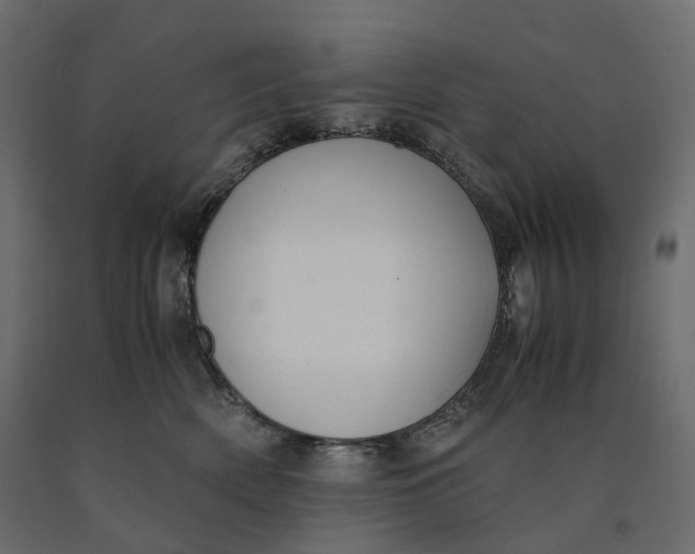 X0000090450522200708031220