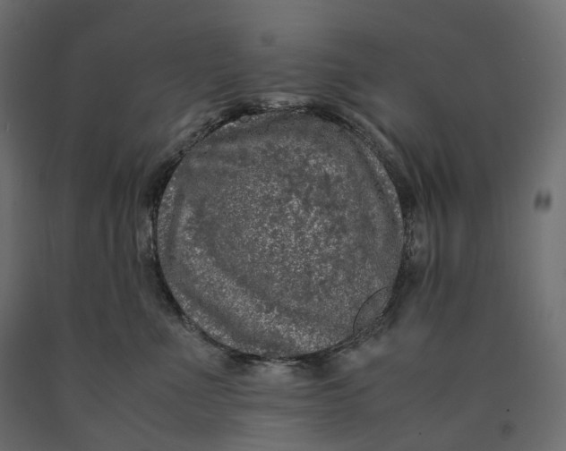 X0000090450523200708031220