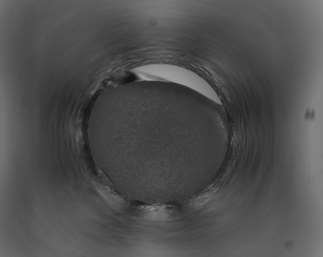 X0000090450524200708031220