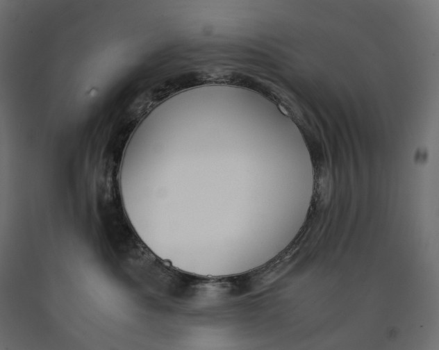 X0000090450525200708031220