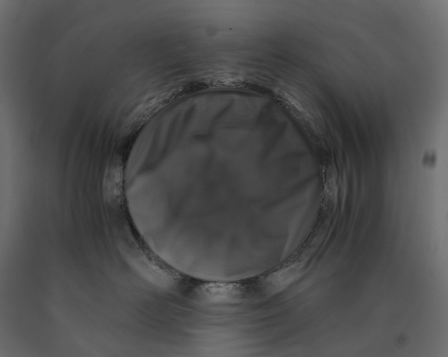 X0000090450526200708031220