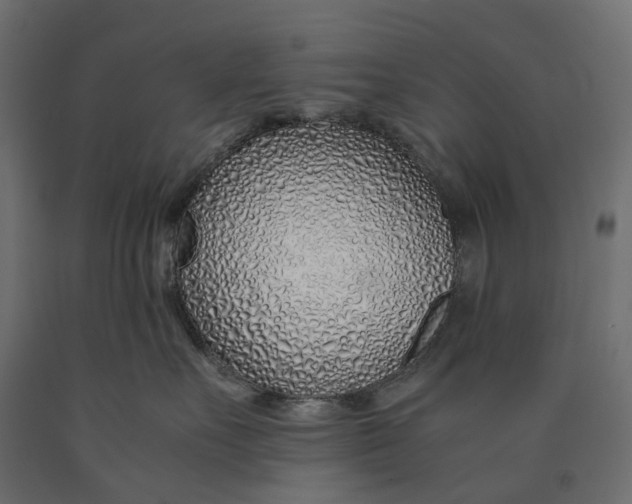 X0000090450527200708031220